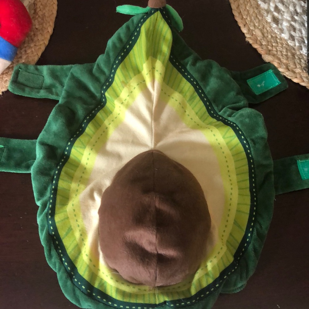 Avocado Doggie Halloween Costume